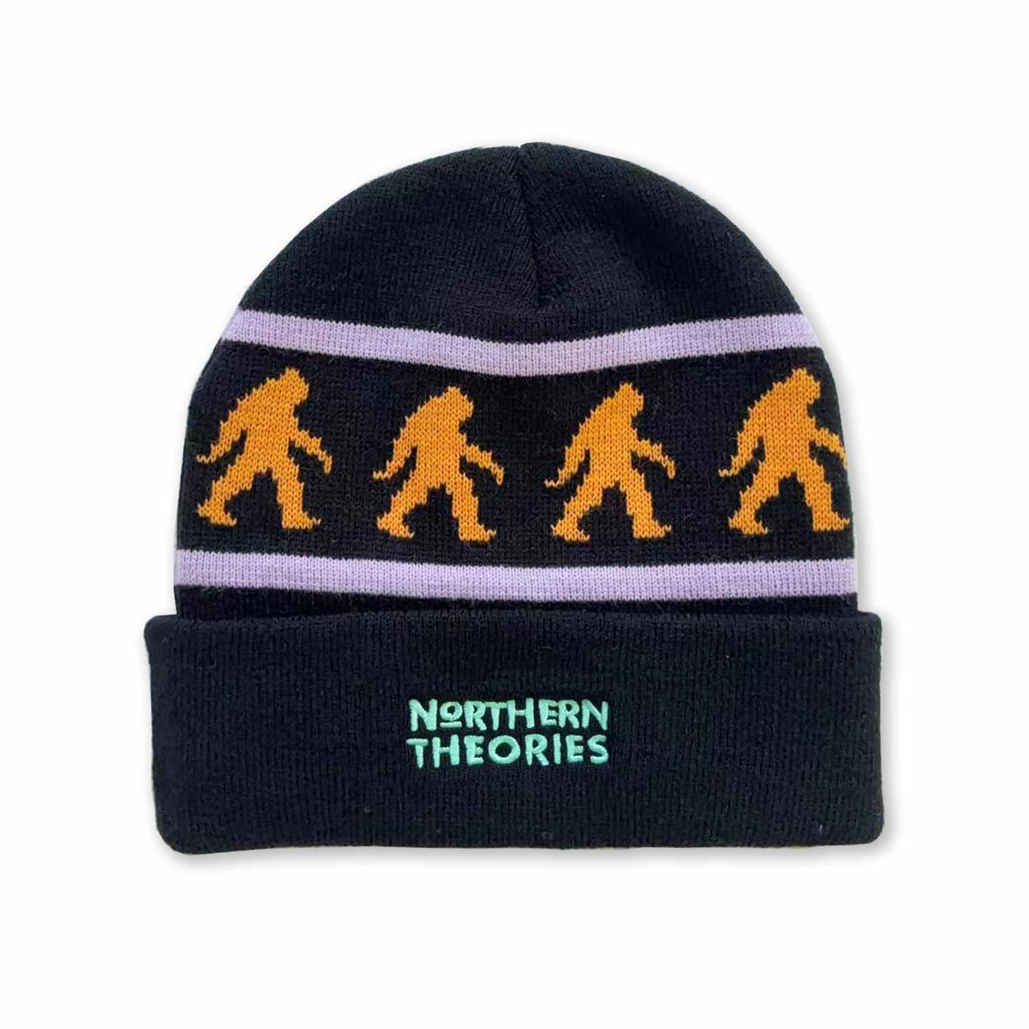 Theories Northern Theories Beanie - Black