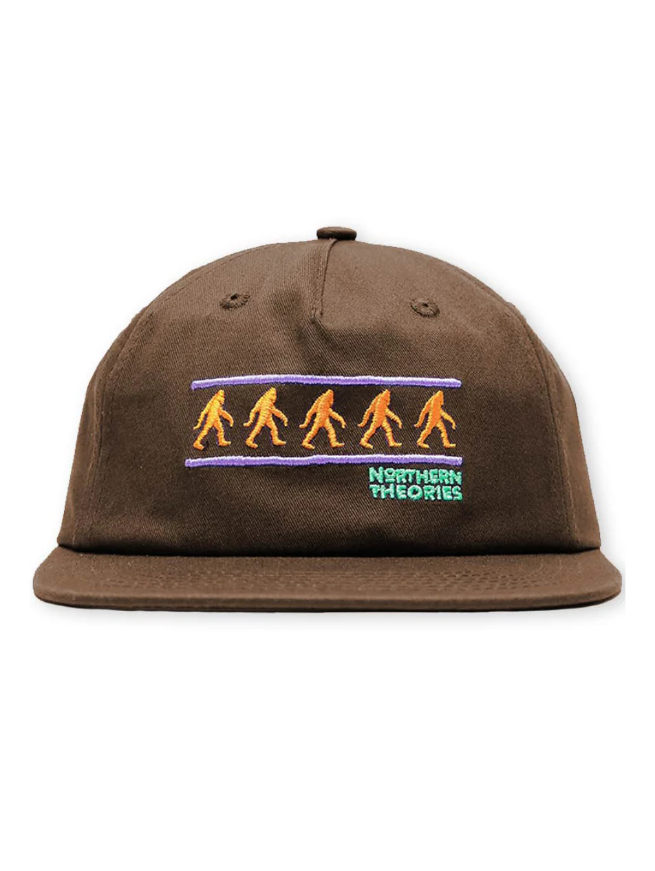 Theories Northern Theories Snapback - Brown